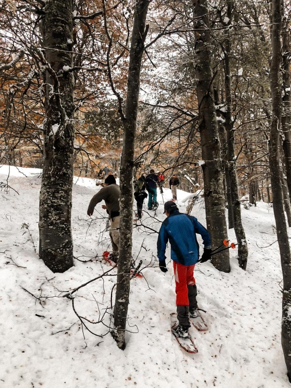 Cabana El Maqui San Martín de los Andes Εξωτερικό φωτογραφία